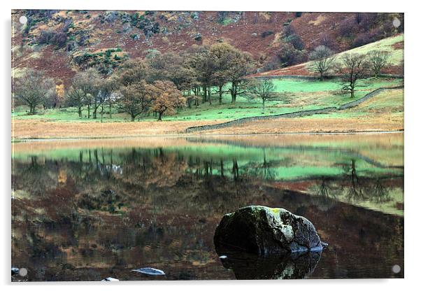  Reflections at Blea Tarn Acrylic by Ian Duffield