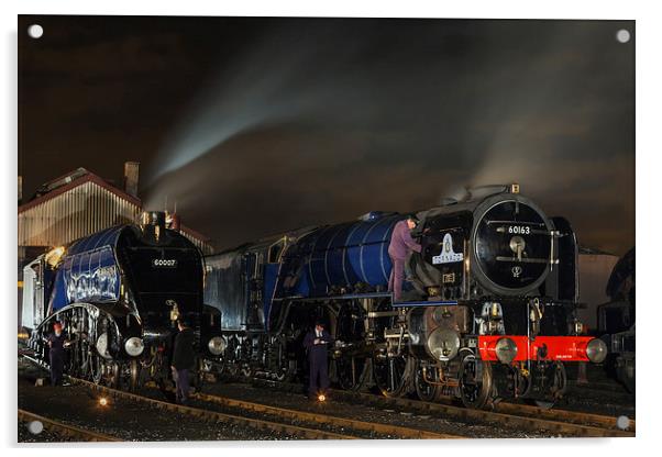 Steam locomotives on shed at night  Acrylic by Ian Duffield