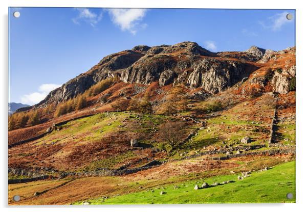 An Autumn afternoon by the Langdale Pikes Acrylic by Ian Duffield