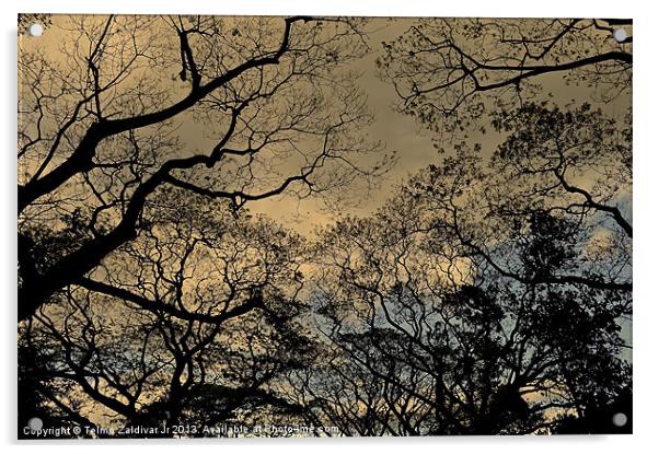 Trees and Skies.... Acrylic by Telmo Zaldivar Jr
