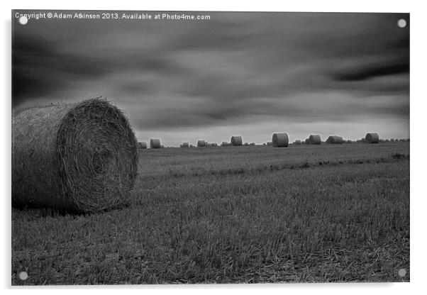 Autumn Hay  Harvest Acrylic by Adam Atkinson