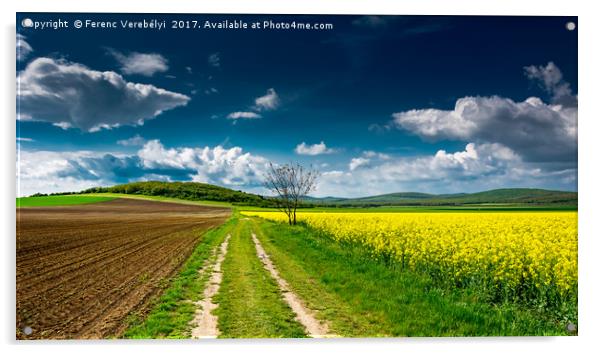 the colors of spring   Acrylic by Ferenc Verebélyi