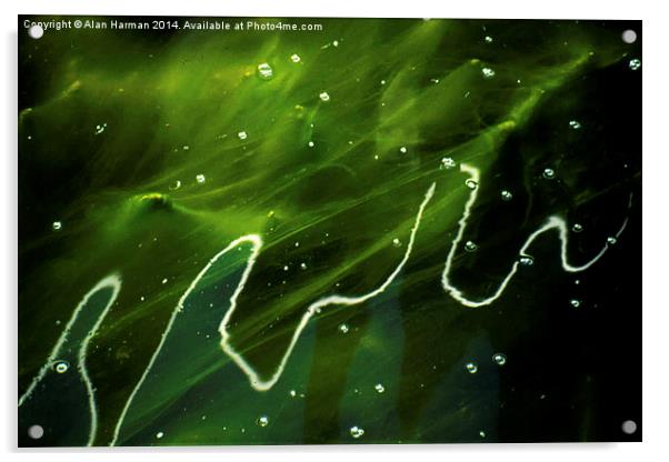 Green Algae and Water Acrylic by Alan Harman