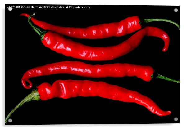 Four Red Chilies Acrylic by Alan Harman