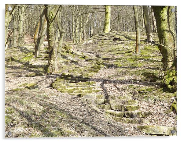 Rivington Woods Steps Acrylic by Sean Mcdonagh