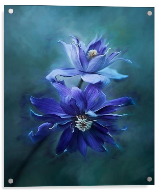 Clematis Blue Acrylic by clint hudson