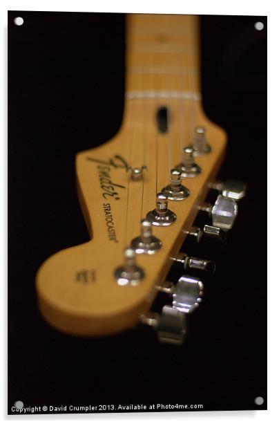 Fender Stratocaster Acrylic by David Crumpler