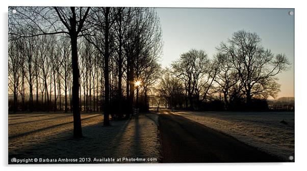 Sunrise on frost Acrylic by Barbara Ambrose