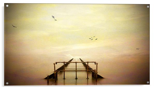Sea of Dreams Acrylic by Robert  Radford