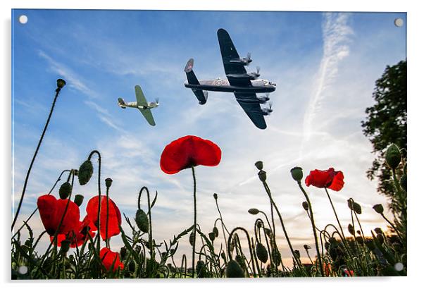 Lancaster & Spitfire over Poppy Field Acrylic by Robert  Radford