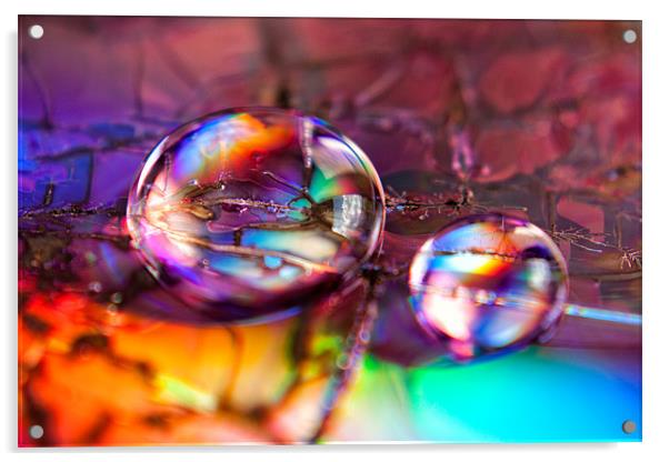 Rainbow drops Acrylic by Krzysztof Gladzik