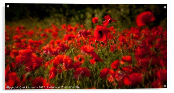 Poppies Acrylic by nick coombs