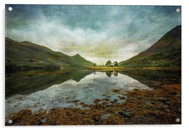 Scottish Loch and Island Acrylic by nick coombs