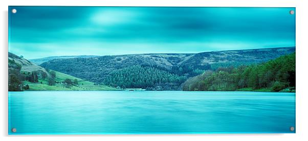 View across Ladybower Acrylic by Terry Luckings
