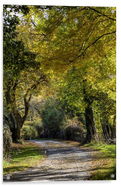  Autumn walk Acrylic by Beverley Middleton