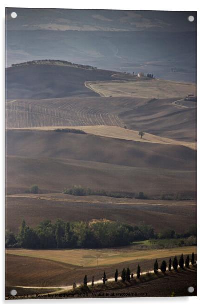 Rolling Tuscan Hills Acrylic by Beverley Middleton