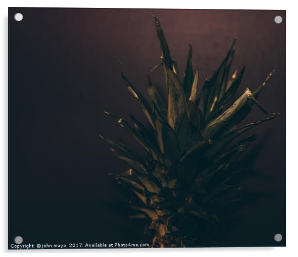 Pineapple top Acrylic by john mayo