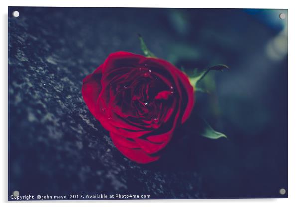 A single red rose Acrylic by john mayo