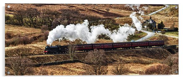 Goathland Steam Train Acrylic by Neil Nicklin