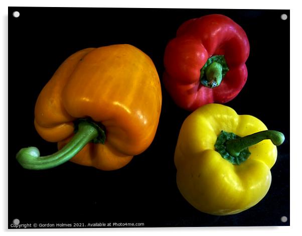 Peppers Acrylic by Gordon Holmes