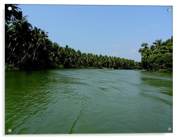 Backwaters and Coconut Trees Acrylic by Sajitha Nair