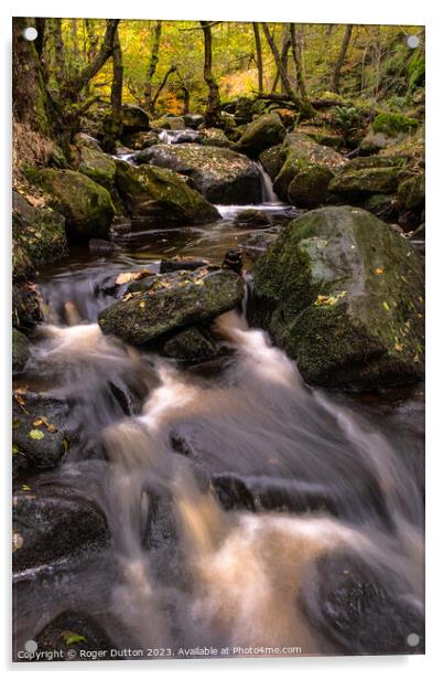 Autumn's Cascade of Water through Padley Gorge  Acrylic by Roger Dutton