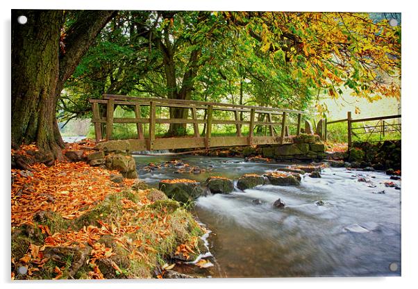 Autumn In Beresford Dale Acrylic by Steve Wilcox