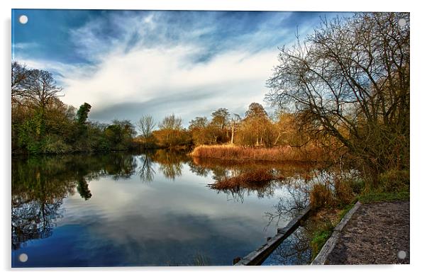 Lower Pool, Park Lime Pits Acrylic by Steve Wilcox