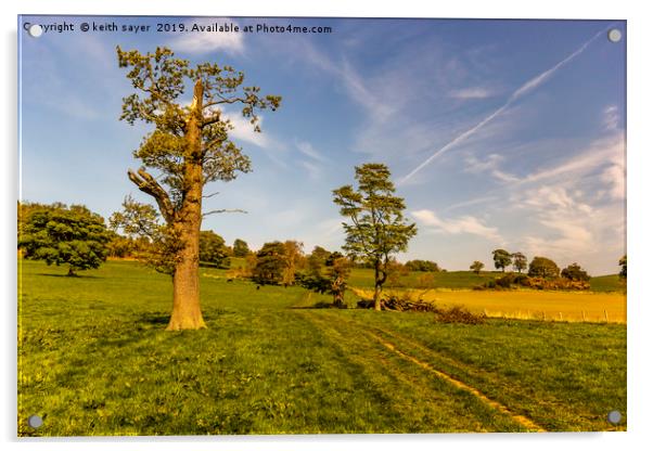 Yorkshire Farmland Acrylic by keith sayer