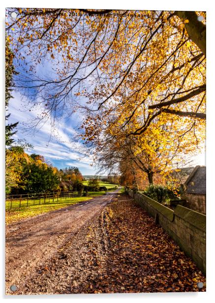 Autumn Walk Egton Bridge. Acrylic by keith sayer