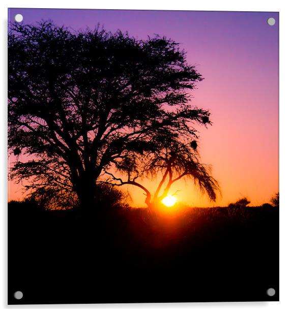 Sunset in the Kalahari Acrylic by Elizma Fourie