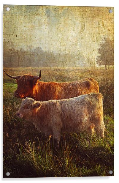 Highlanders. Scottish Countryside Acrylic by Jenny Rainbow