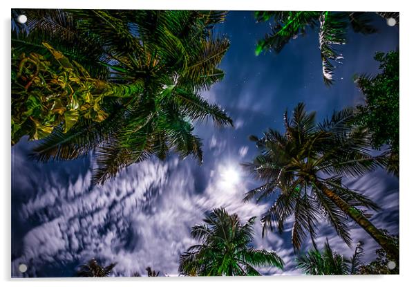 Tropical Night Sky Acrylic by Jenny Rainbow