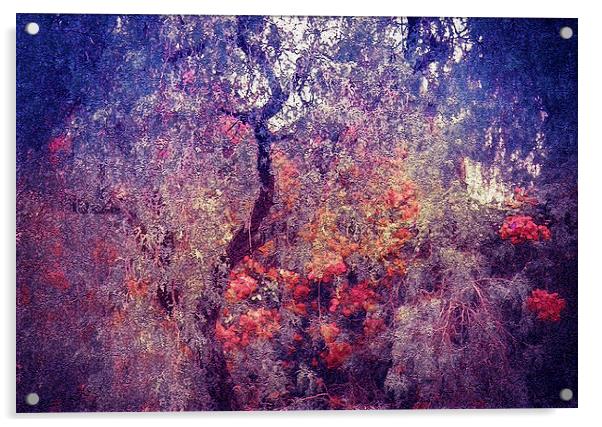 Hidden Garden of Desire Acrylic by Jenny Rainbow