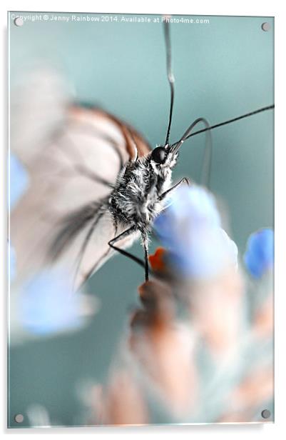 Butterfly Eyes. Nature in Alien Skin Acrylic by Jenny Rainbow