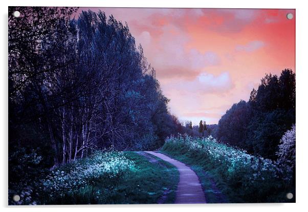  The Magical Path Acrylic by Jenny Rainbow