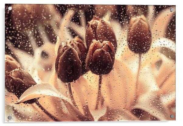  Rainy Tulips. Playing with Colors Acrylic by Jenny Rainbow