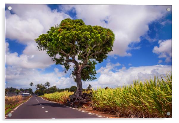 Road in Mauritius  Acrylic by Jenny Rainbow