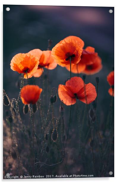 Red Poppies Remembrance Acrylic by Jenny Rainbow