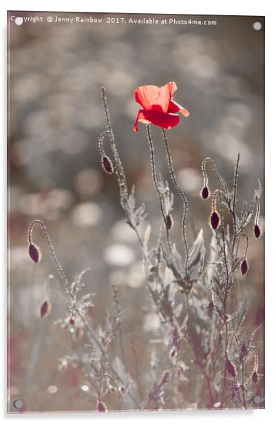 Red Poppy in Silver Grass Acrylic by Jenny Rainbow