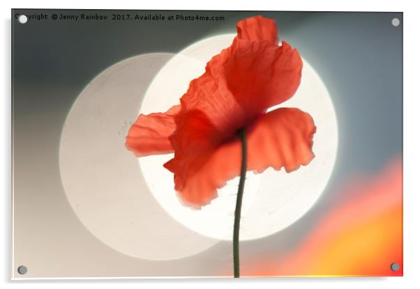 Red Poppy. Towards Sun Acrylic by Jenny Rainbow