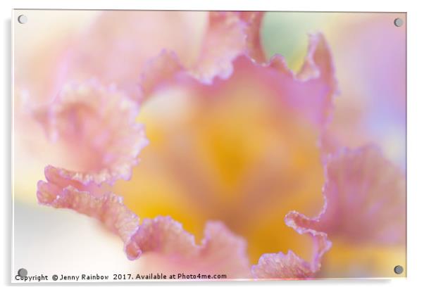 Afternoon Delight iris Macro abstract Acrylic by Jenny Rainbow