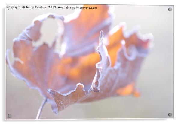 Artistic natural abstract of dry frosted maple lea Acrylic by Jenny Rainbow