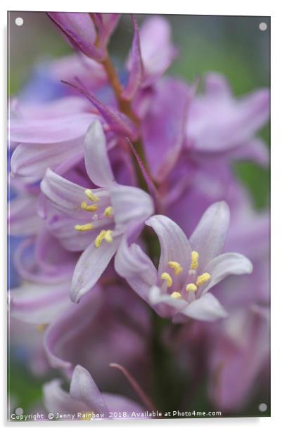 Hyacinthoides hispanica 'Rosea Acrylic by Jenny Rainbow