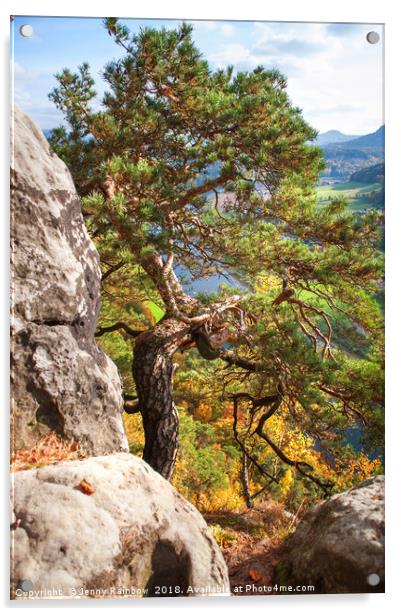 Pine Tree. Saxon Switzerland Acrylic by Jenny Rainbow