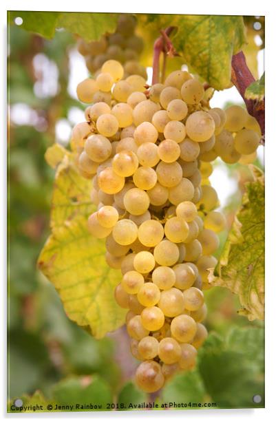 Autumn Delicacy. Taste of Grapes Acrylic by Jenny Rainbow