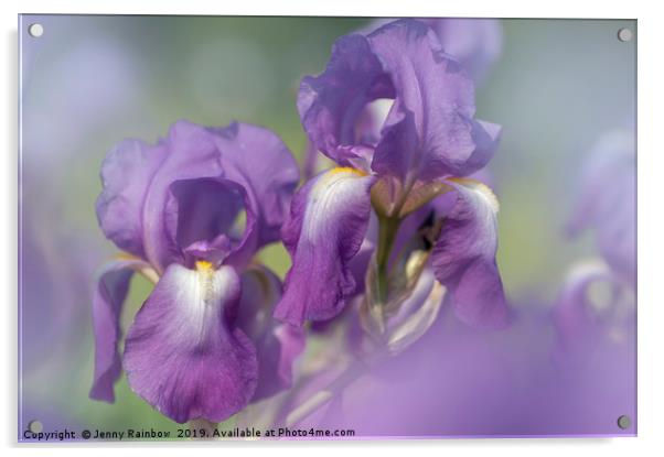 Beauty of Irises. Aphrodite 5 Acrylic by Jenny Rainbow