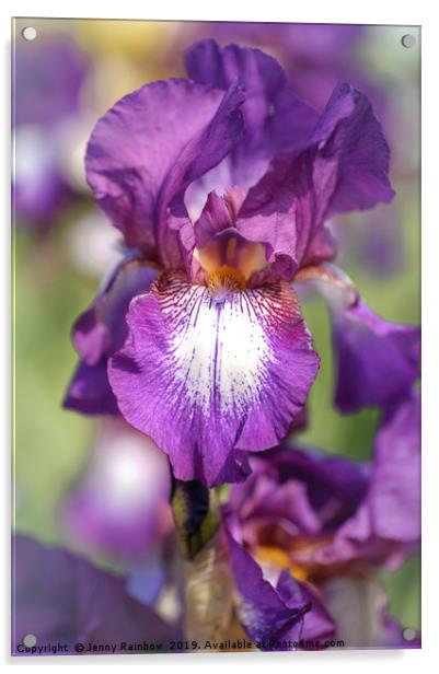 Beauty Of Irises. Bazarok Acrylic by Jenny Rainbow