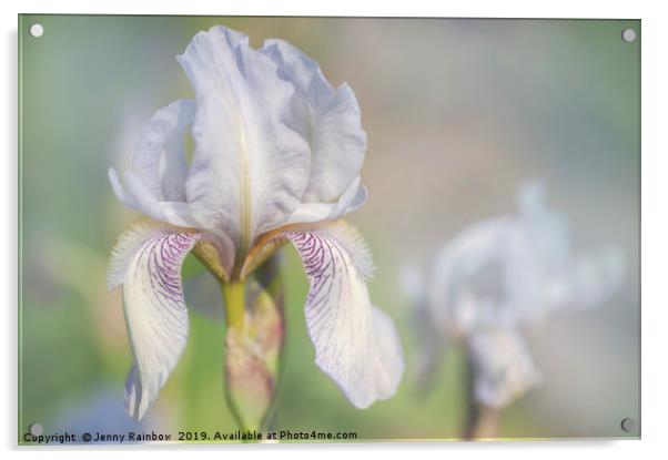 Beauty Of Irises. Bridesmaid 1 Acrylic by Jenny Rainbow