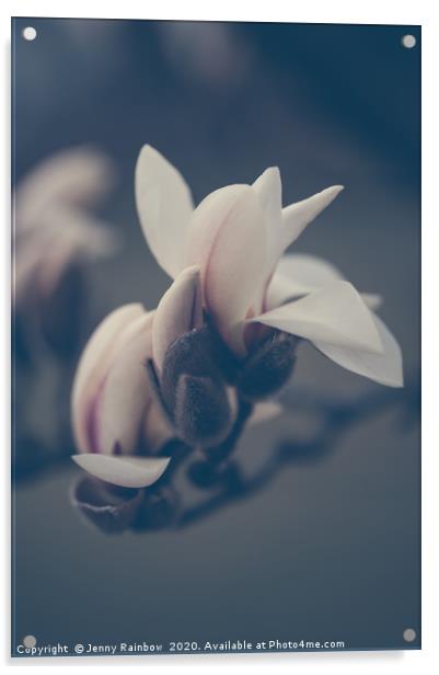 Zen Magnolia Opening Buds Boho Style Acrylic by Jenny Rainbow